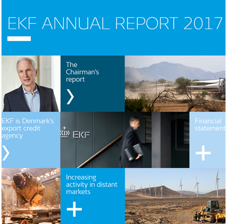 Image of EKF's annual report 2017