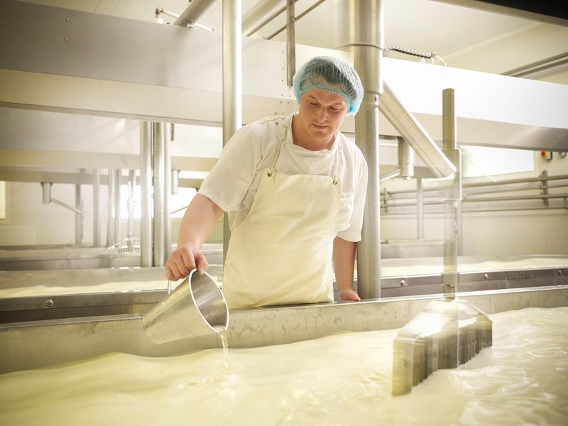 Man working with dairy products