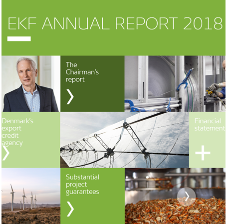 Image of EKF's annual report 2018
