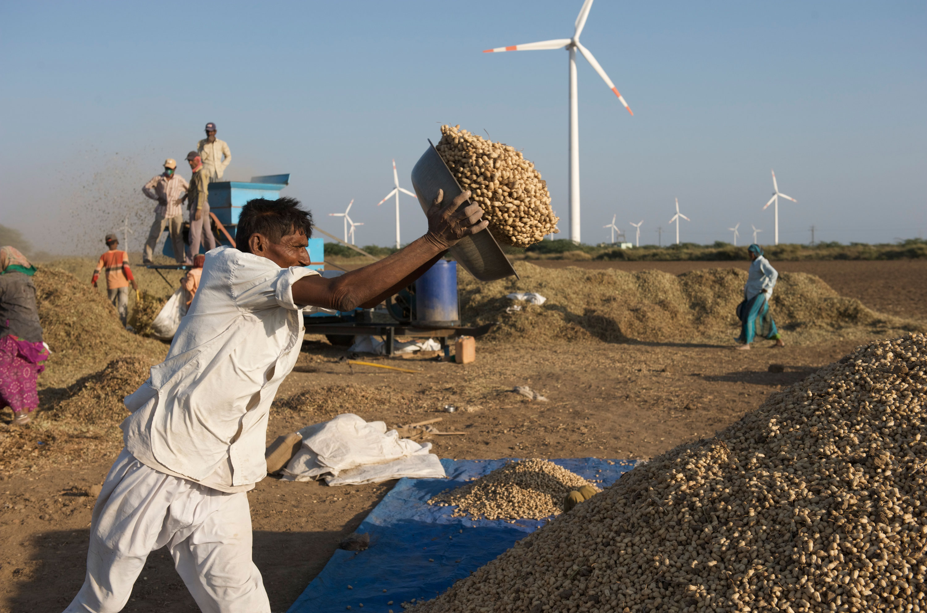 Indiske landmænd og vindmøller